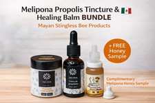 Paquete de tintura y bálsamo curativo de propóleo Melipona + muestra de miel gratis | Mayan Pro