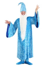 Plus Suze Disney The Sword in the Stone Merlin Men's Costume