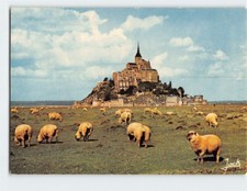 Postcard Cattles Grazing Mont Saint-Michel Island in France