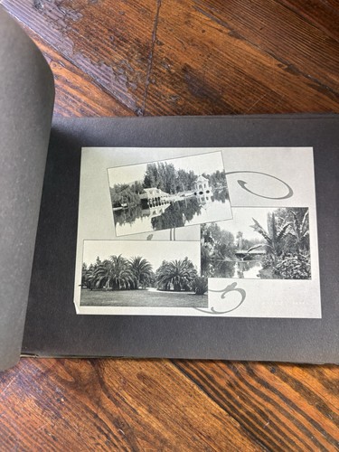1903 SCENES IN SOUTHERN CALIFORNIA PHOTO BOOKLET SOUVENIR ANTIQUE LOS ANGELES LA - Picture 8 of 11