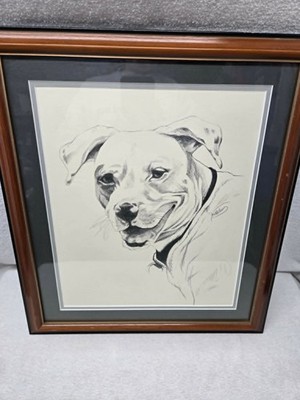 Pencil Art Drawing of a Pittie