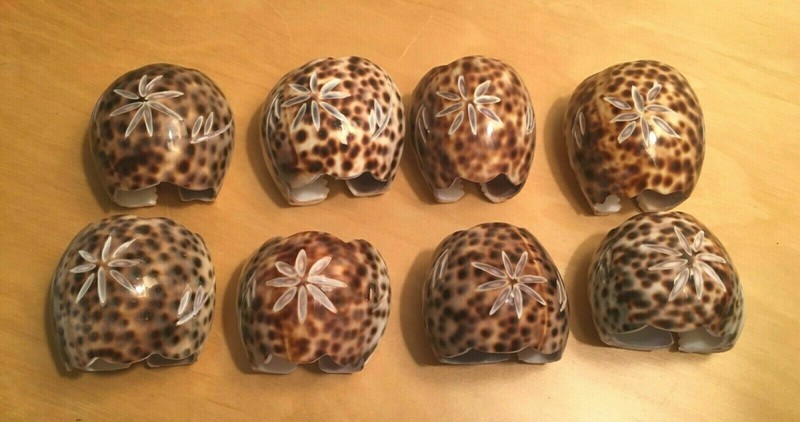 Set of 8 Pieces Carved Real Natural Shell Napkin Rings Holders Beach House 