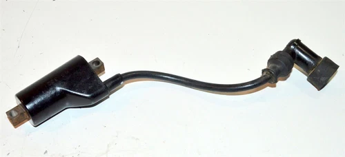 COIL ASSY, IGNITION