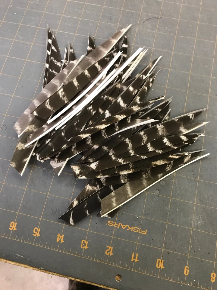 5" Left Wing Shield Natural Barred Feather Fletching, 25Pk Archery 🇺🇸 - Image 2 of 2