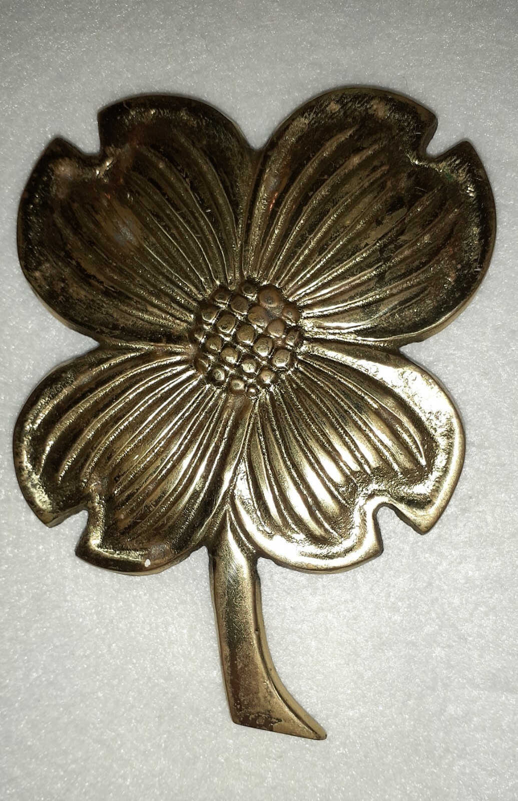 Picture 6 of 11