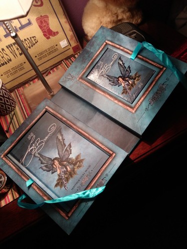 The Amy Brown Faery Wisdom Deck Set 64 Divination Cards 136 Page ...