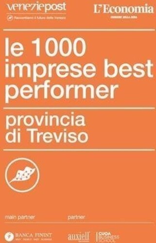 Libri 1000 Imprese Best Performer. Provincia Di Treviso (Le)
