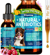 Antibiotics for Dogs Natural Dog Antibiotics for Allergy Relief, Itch Relief,