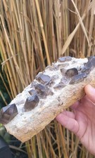 Rauchquarz,Alpine Schweizer Rauchquarz Stufe/Rauchquarz  auf Matrix/1,172 Kg