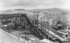Flora Azikiwe holding a bouquet flowers inspects handiwork pupi- 1962 Old Photo