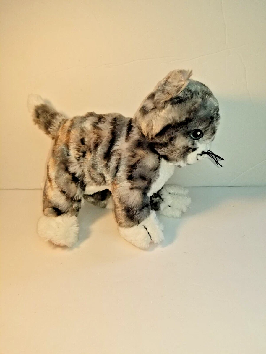 Lilleplutt cat cheap