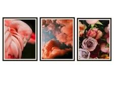 Set of 3 Flamingo, Pink Clouds and Roses Photo Art Print Posters 11x14" Unframed