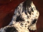 Foto 5 di 12