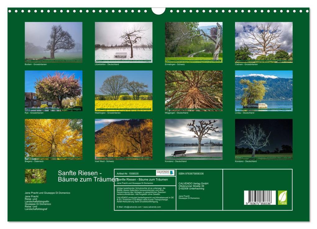 Thumbnail - Sanfte Riesen - Bäume Zum Träumen (wandkalender 2024 Din A3 Quer),