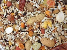 Higgins safflower gold Large Parrot diet bird food nuts fruit seed mix 25lb