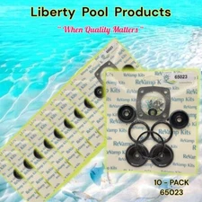 Universal Slide Valve Rebuild Kit 65023 Liberty For Pentair & Pac Fab   10-PACK