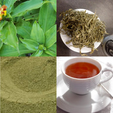Organic 100 Dried Insulin Plant Leaves Premium Quality Thebu Herbal Diabetic