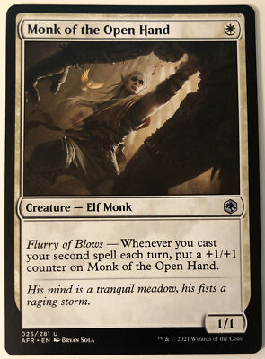 MTG Monk of the Open Hand Adventures in the Forgotten Realms 025/281  Regular