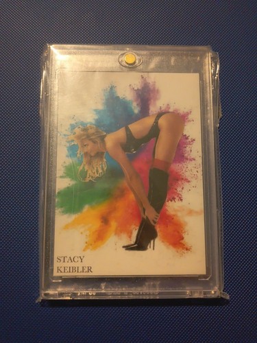 Wwe Stacy Keibler Custom Card