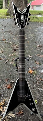 Dimebag Darrell Dime V ギター AXE HEAVEN Axe Heaven Guitar Pantera Dimebag Darrell