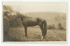 c1915 RPPC Gentleman with Horse in Landscape, Location Unknown