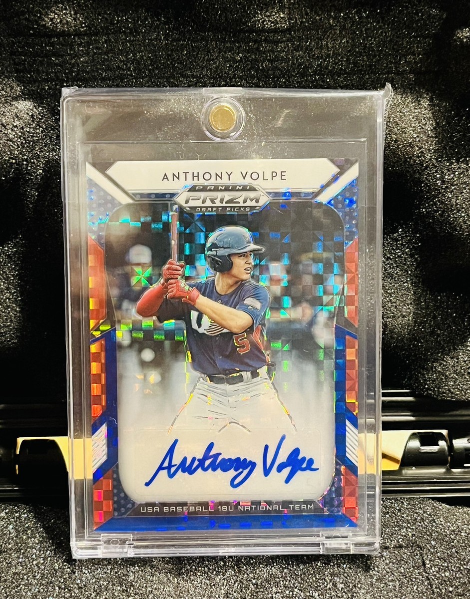 2019 Panini Anthony Volpe auto 直筆サイン　シリ 2019 Panini Anthony Volpe auto 直筆サイン シリ｜スポーツ選手