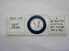 Vintage  Microscope  Slide.  Gnat Larvae