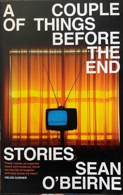 Book Sean O'Beirne A Couple Of Things Before The End