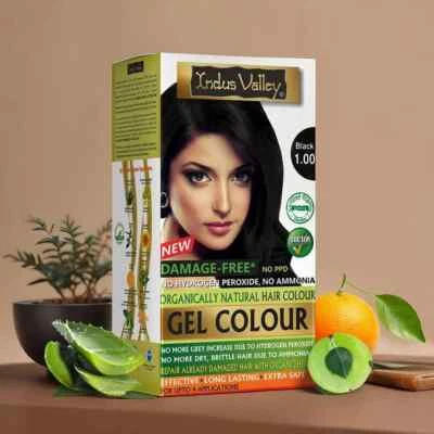 INDUS VALLEY Damage Free Natural Gel Hair Colour Long Lasting Black 1.00 -220ml