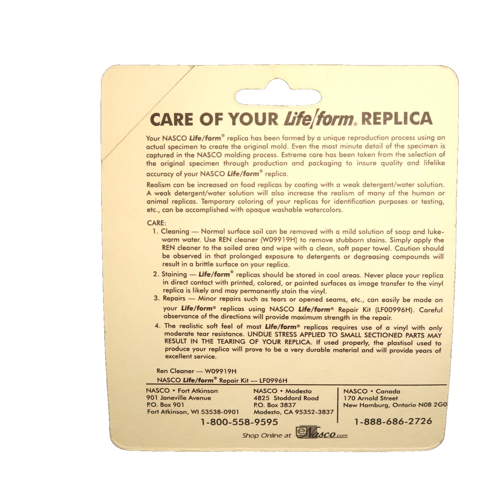 Life Form by Nasco Replica Dollop of Butter Fake Food Realistic Display