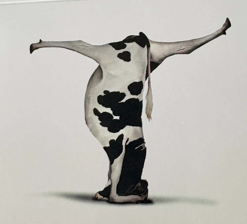 NobleWorks 10-pack all occasion blank cards cows yoga New Open Box 5"x4" folded - Image 4 of 4