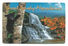 deck souvenir playing cards from Great Smoky Mountains, TN, bear cub, waterfalls