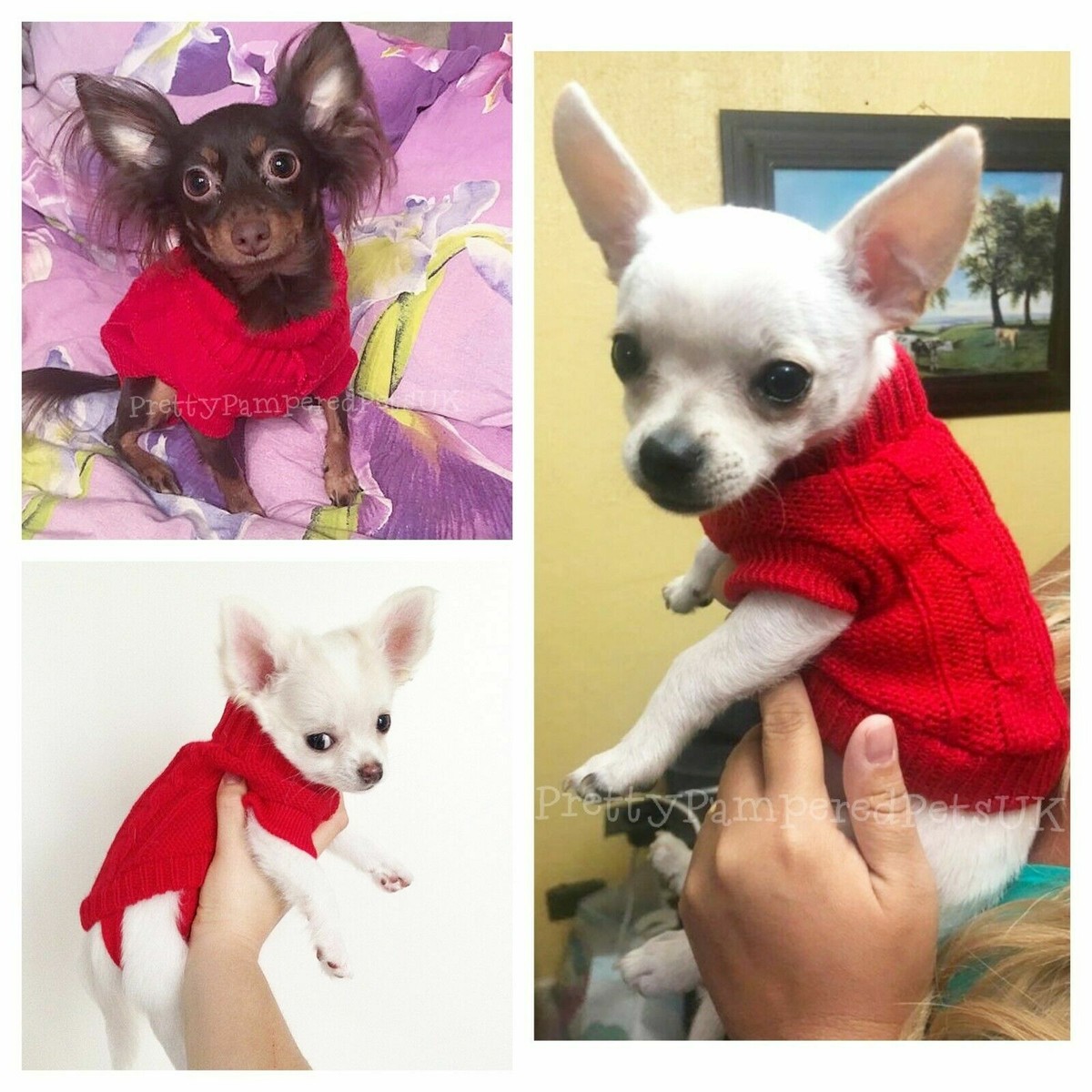XXXS XXS XS Small Chihuahua Clothes Teacup Tiny TOY Mini Breeds Puppy Dog  Coat | eBay