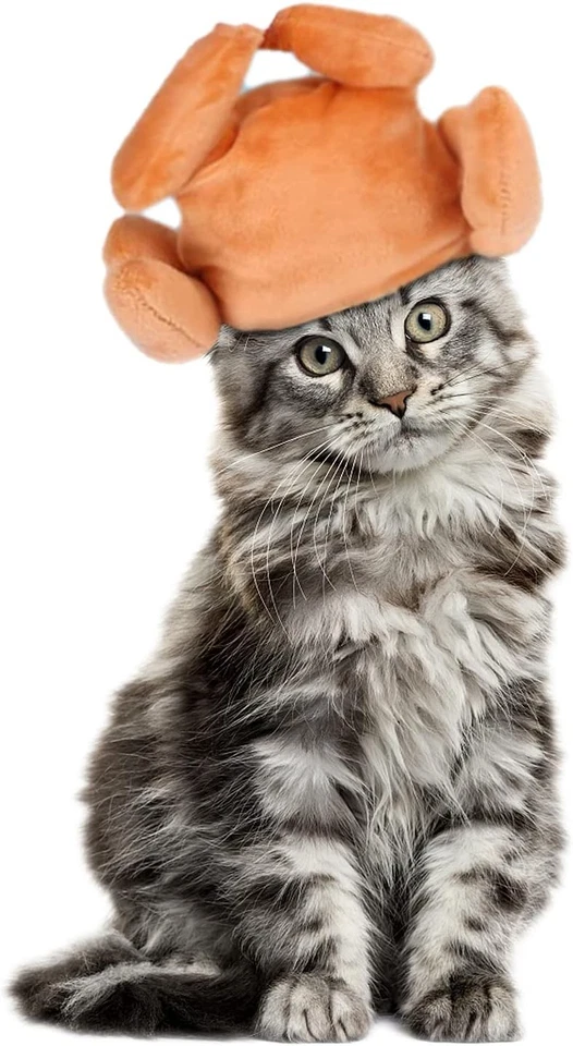 Diadema de pavo para gato y perro de Acción de Gracias - Divertido sombrero de vacaciones para mascotas pequeñas, gatos  Foto 3 de 4