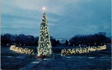 Southeastern Ohio OH Christmas Pine Tree for President Pageant of Peace Postcard