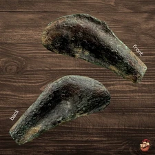 Ancient Greek money coin - Scythia Olbia - Dolphin (c. 500-425 BC) 25mm #T345