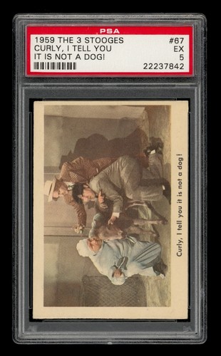 1959 The 3 Stooges Set-Break # 67 Curly, I Tell You It Is Not A Dog! PSA 5 EX