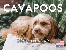Cavapoo Calendar 2026 Monthly Wall Calender 12 Month | American Made In The USA