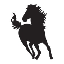 Horse Bronco Stallion - Decal Sticker - Multiple Color Sizes - ebn1351
