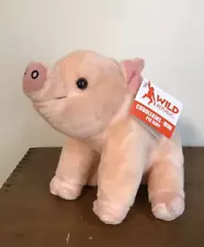 Piglet Plush Baby Sitting Down Super Cute Long Snout Cuddle Mini Pig Baby - New