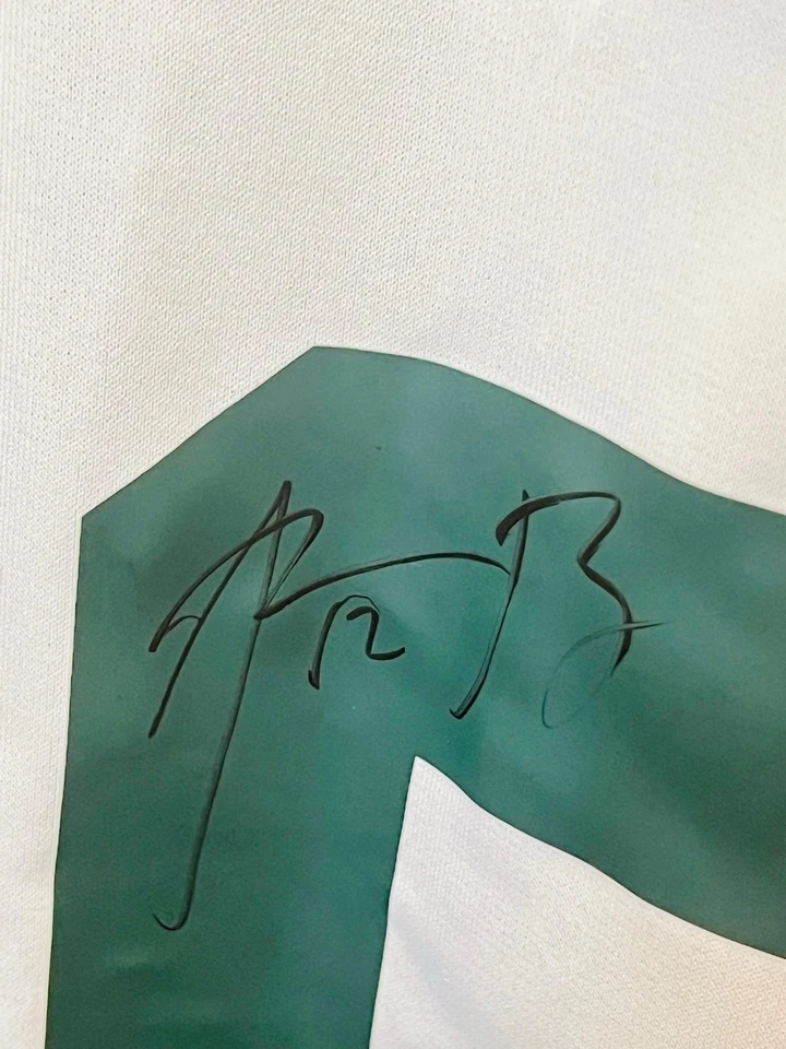 SIGNED AARON RODGERS NFL GREEN BAY PACKERS AUTOGRAPHED JERSEY W/COA - SEE PROOF — 第 3/3 张图片