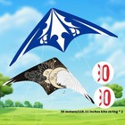 Foto 9 di 26