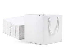  Paper Bags with Handles, Gift Bags Bulk 12 10x10x10 Inch (Pack of 12) White
