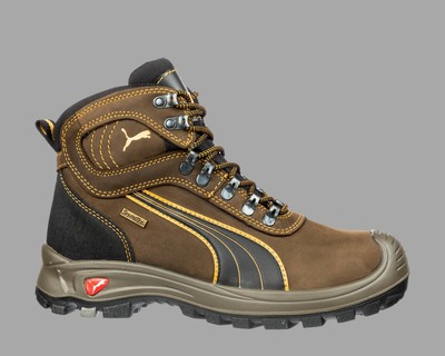 puma sierra nevada low