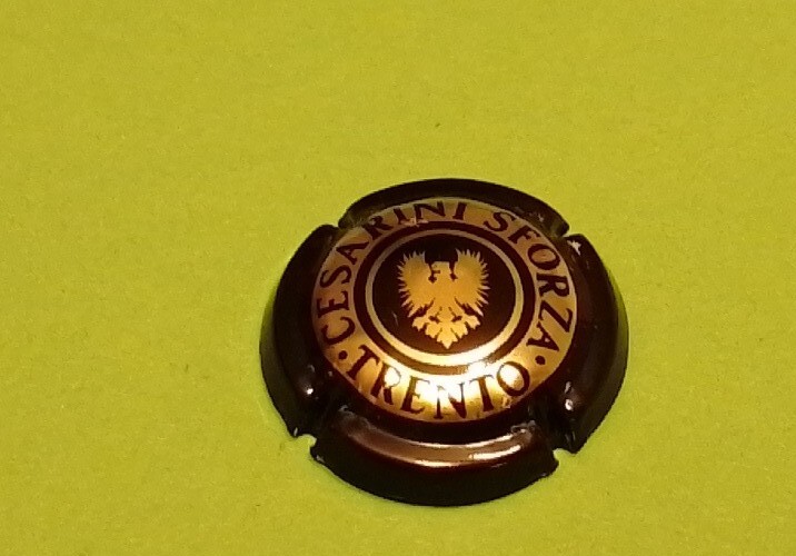 Foto 1 di 1