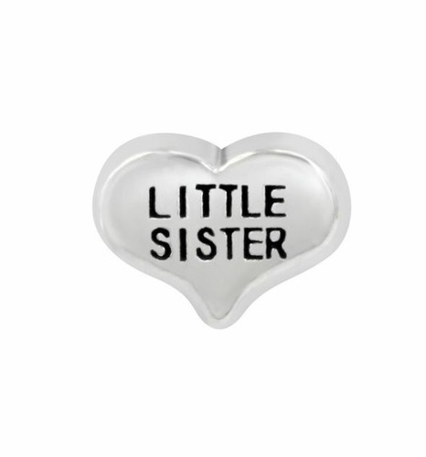 Floating Charms Hearts Love Family for Glass Memory Lockets - Picture 14 of 19