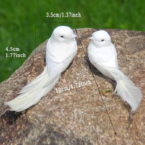En Palomas Blancas Pájaros Decorativos Simulación Artificial Espuma Emplumada 2 piezas Clip - Imagen 2 de 7