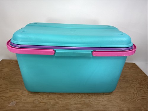Vintage Eagle Craftstor Craft Storage Tote Organizer Teal Pink Purple w/ Tray