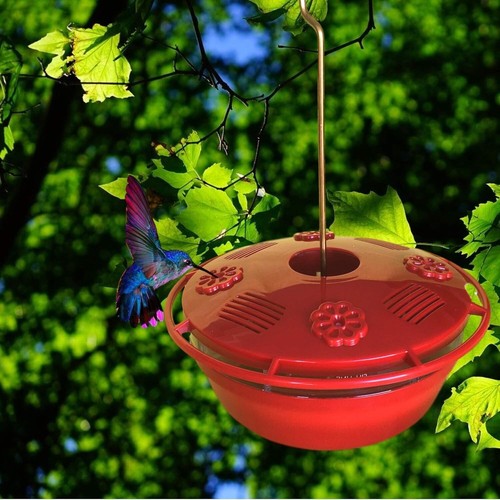 Humm Yumm Hanging Nectar & Protein Hummingbird Protein Feeder Red Clear Plastic - 第 1/2 張圖片