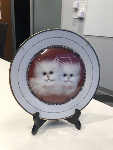 Vintage flauschiger Katzenteller - Bild 1 von 7